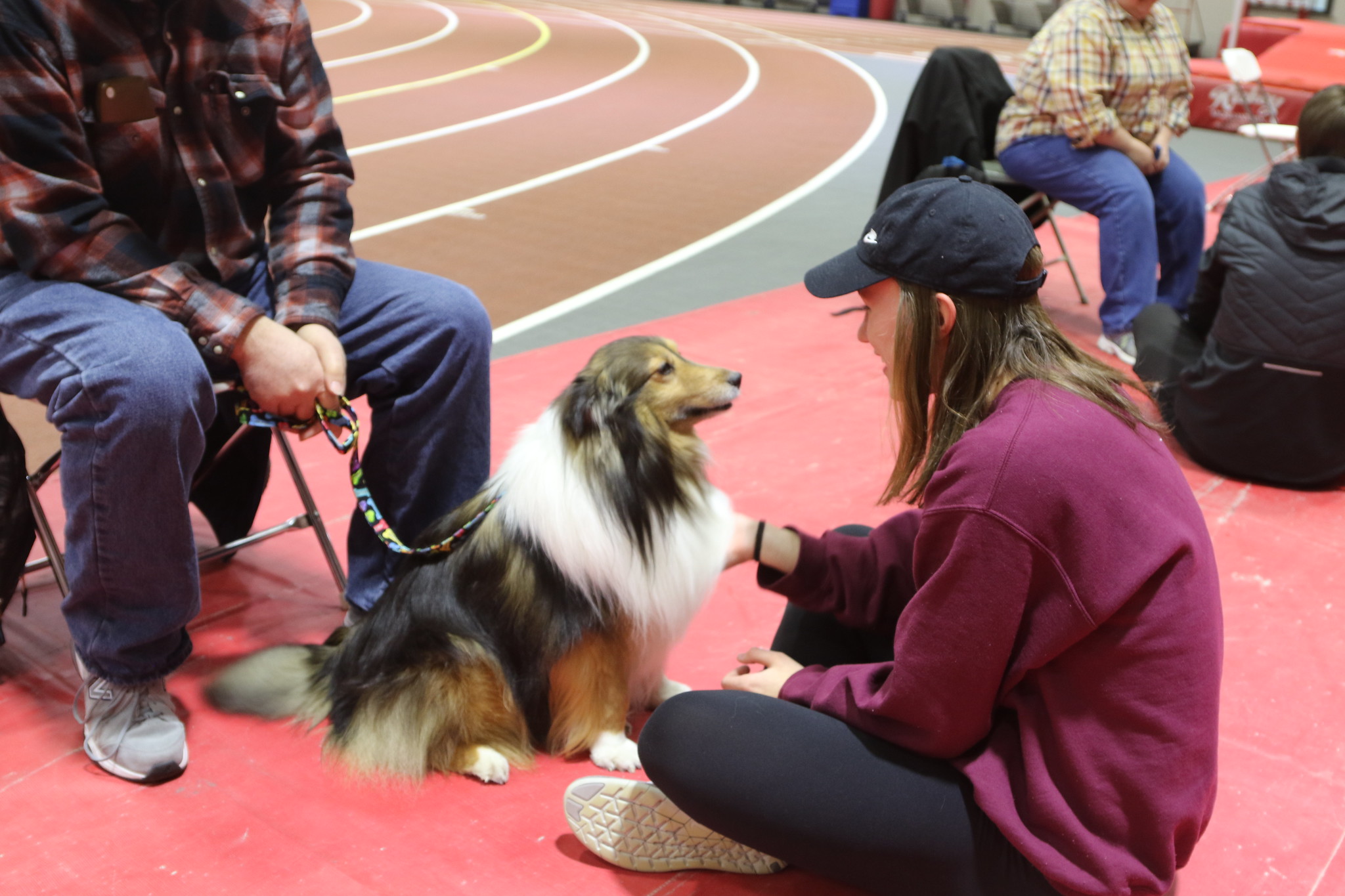 Student petting a dog during Dyson Dog Days