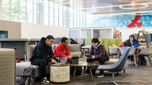 Students studying at the library